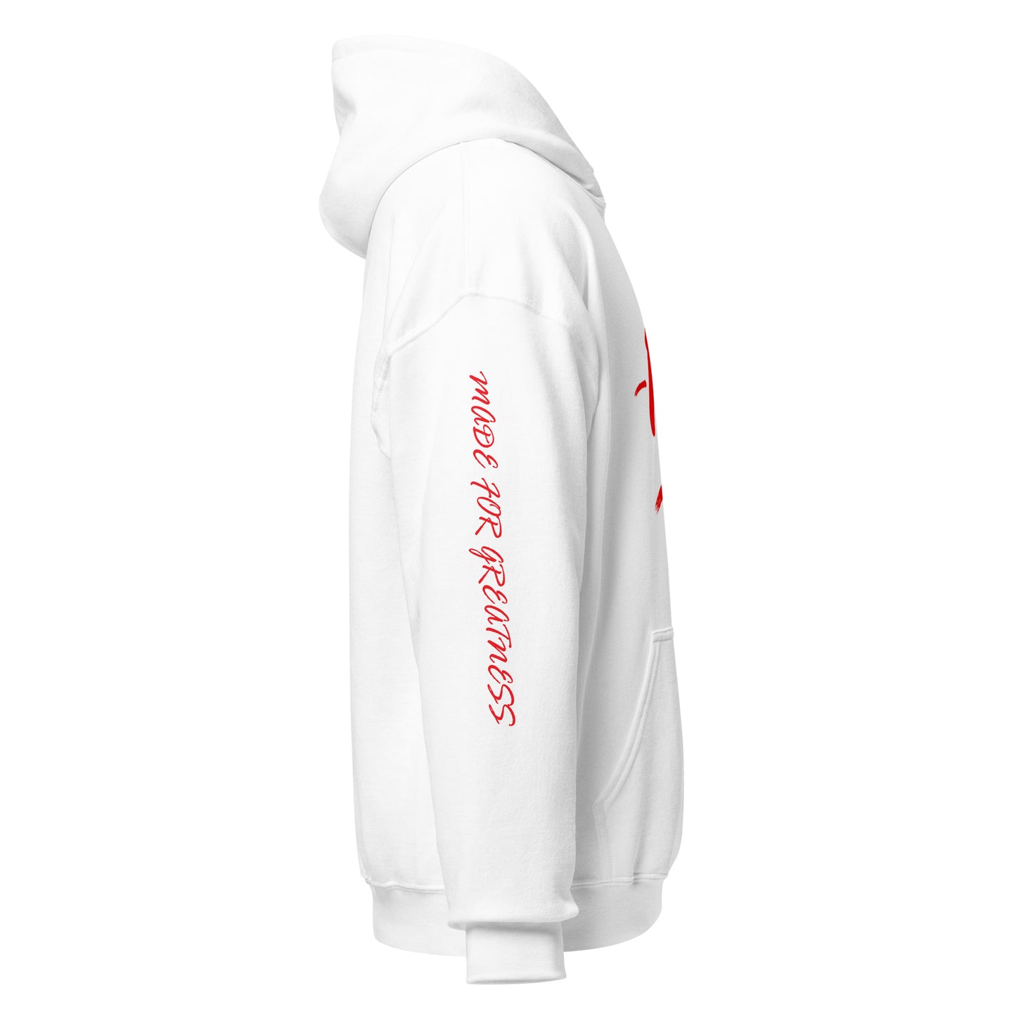 -100 = Move 100 Hoodie
